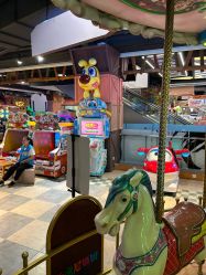 -卡通尼·Safari非洲探索乐园·生日会(金桥国际商业广场店)