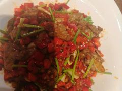 -义乌香格里拉•食尚汇MIX