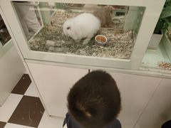 -龙猫仔乐园(惠福东路店)