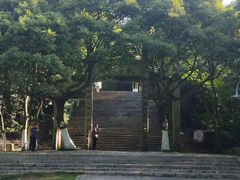 -青龙山公园