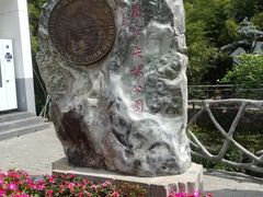 -王顺山国家森林公园