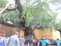 -无锡惠山寺