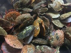 -胶东海鲜大排档(北太平庄店)