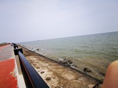 -东堤公园