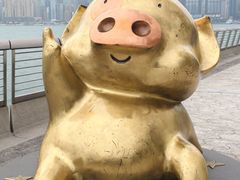-星光大道