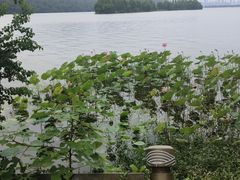 -东湖落雁景区