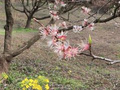 -苏州上方山国家森林公园