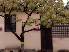 -西柏坡红色胜典景区