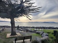 -香港东海海鲜酒家