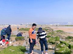 -巧克力渔家.小船海鲜胶东菜(万平口店)