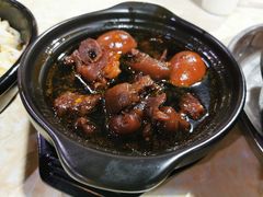 -石岐乳鸽村(南海第三分店)