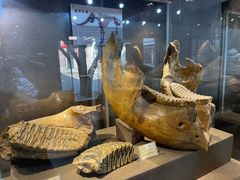 -丁村民俗博物馆