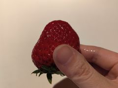 -新荣记(BFC外滩金融中心店)