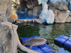 -华夏文旅海洋公园