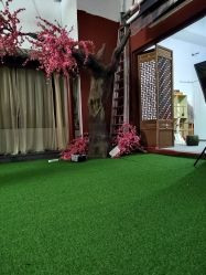 -盘子女人坊生日照·摄影馆(华强店)