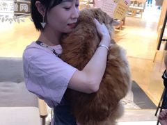 -藏猫猫咖啡主题馆(中央大道店)