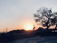 -广富林郊野公园
