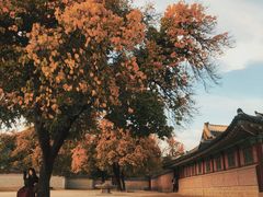 -景福宫