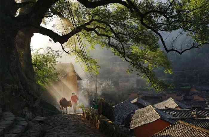 四都寨头摄影休闲园-"稻草人旅行住的地方.房间都是高低错落有致.