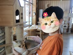 -猫的茶·猫咖