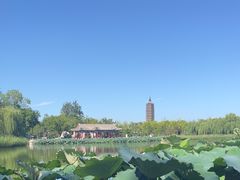 -西海子公园