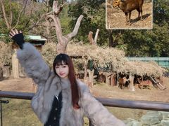 -宁波野生动物园