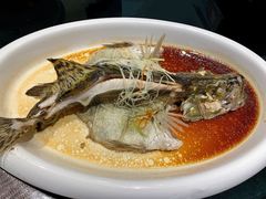 清蒸鲑鱼-丝宴·凤城印象·西北特色菜(彩虹湾店)