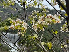 -天台山景区
