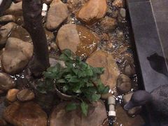 -小城粥道·海胆鲜虾粥(解放广场店)