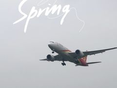 -空港花田景区