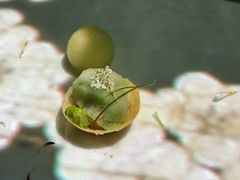 -良设夜宴 LIANGSHE