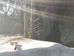 -水磨沟公园