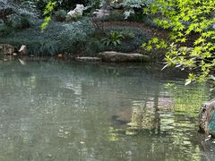 -中国茶叶博物馆(双峰馆区)