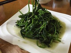 -老字号农家宴