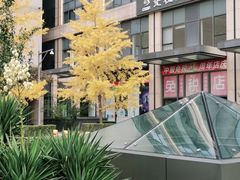 -国药中服免税(北京坊店)