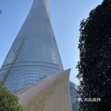 上海之巅的下午茶