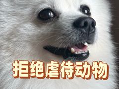 -揭阳钟记小食(福田新村店)