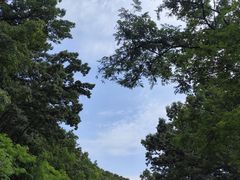-沂蒙山旅游区云蒙景区(蒙山国家森林公园)