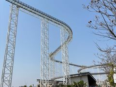 -九龙湖公园