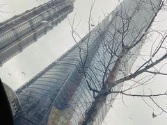 -上海观复博物馆