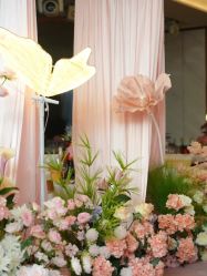 -HELLO你好婚礼婚庆策划