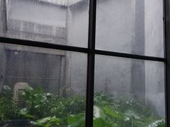 -大芬美术馆