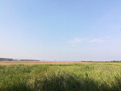 景点-鸽子窝公园