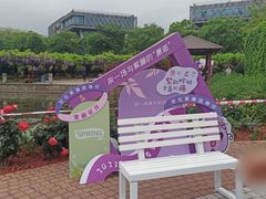 -嘉定紫藤园