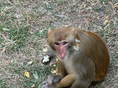 -大连森林动物园