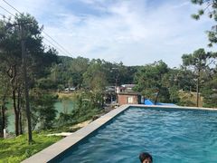 -美的鹭湖探索王国