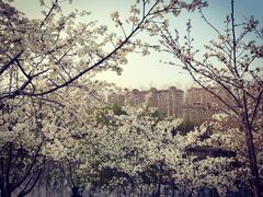 -马家湾湿地公园