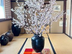 -中村藤吉(本店)