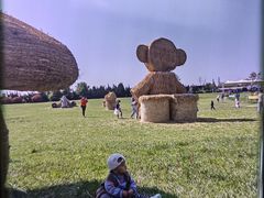 -泰生小镇旅游景区