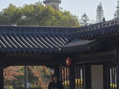 -江心屿景区